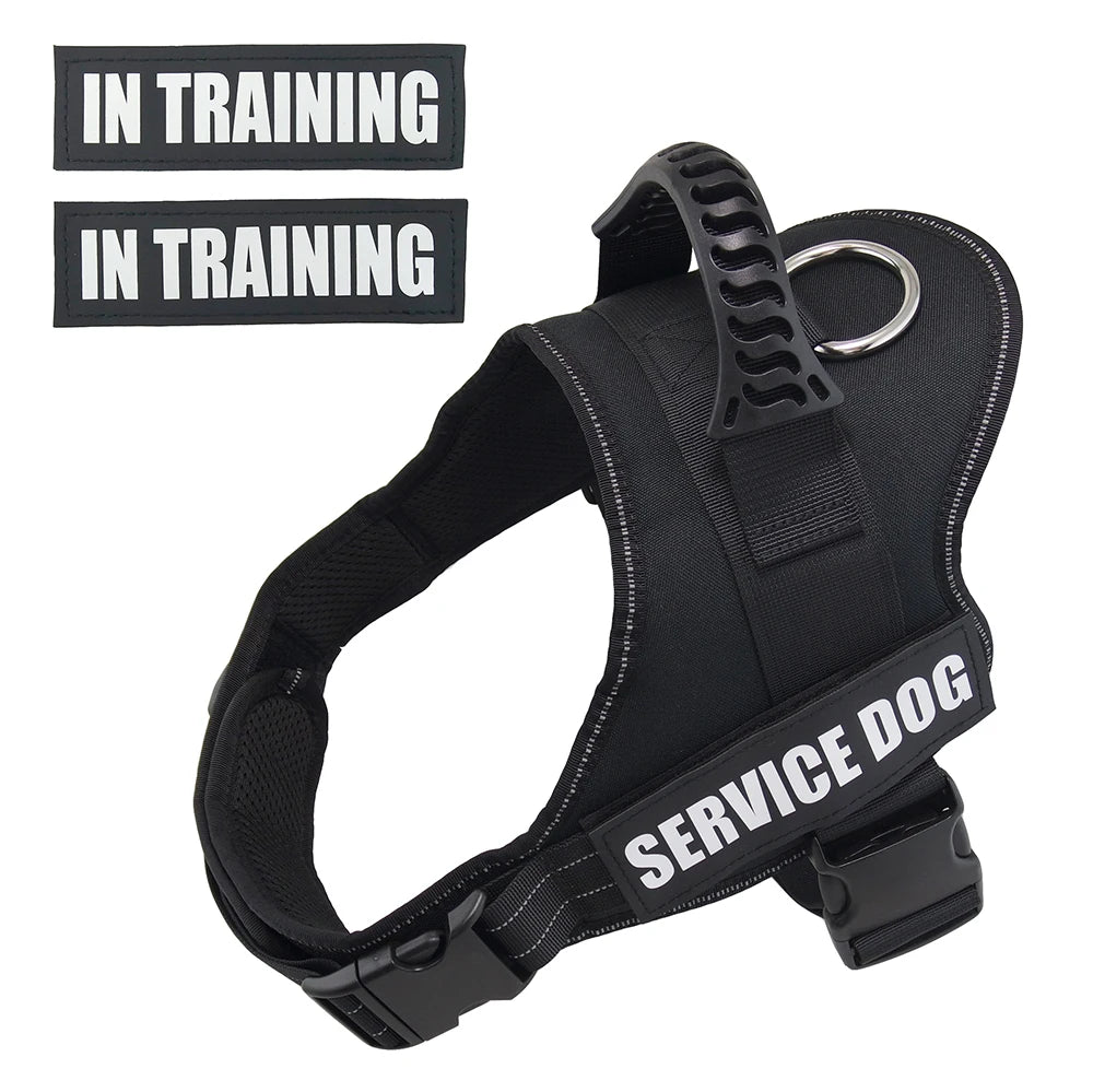 Harness