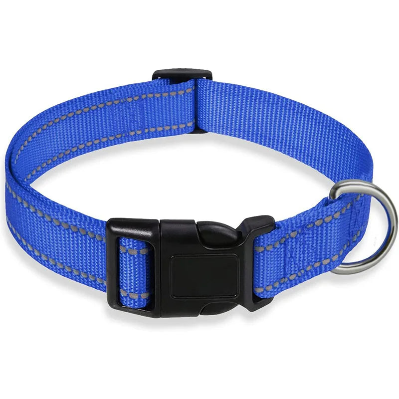 Dog Collar