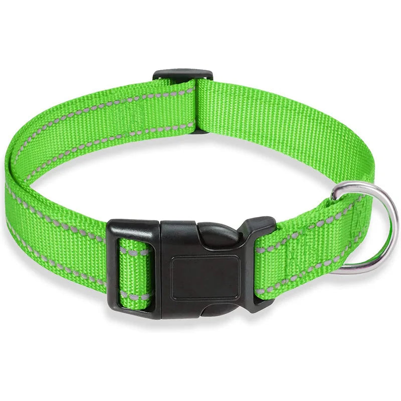 Dog Collar