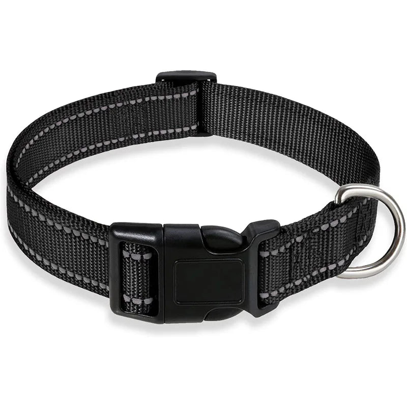 Dog Collar