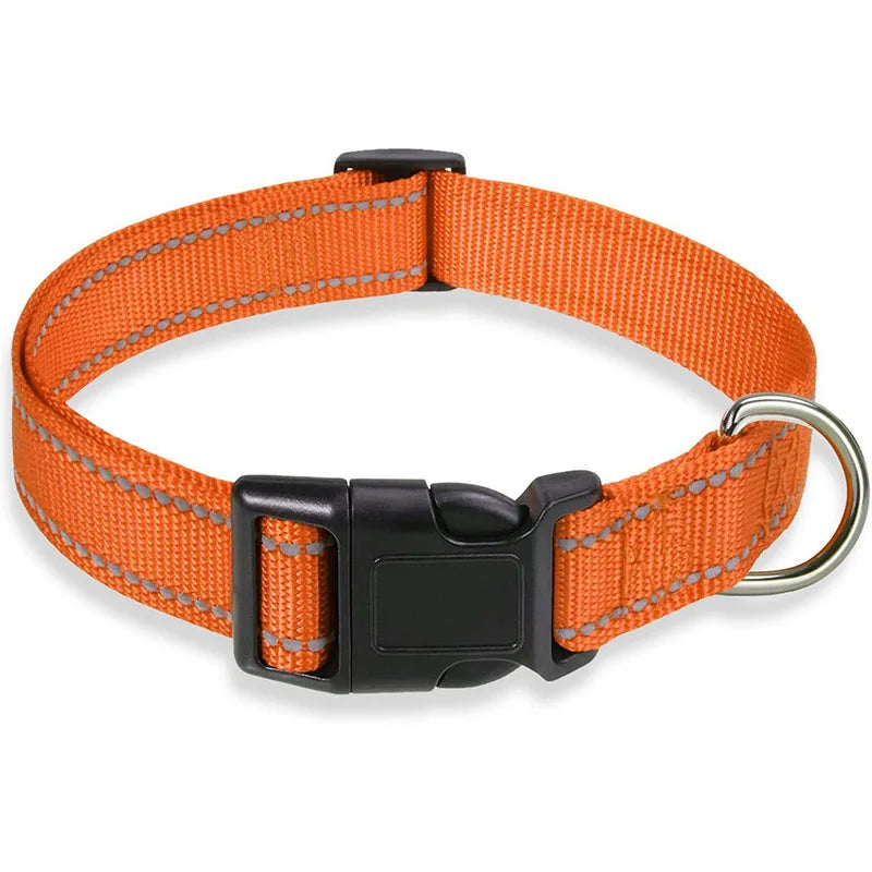 Dog Collar