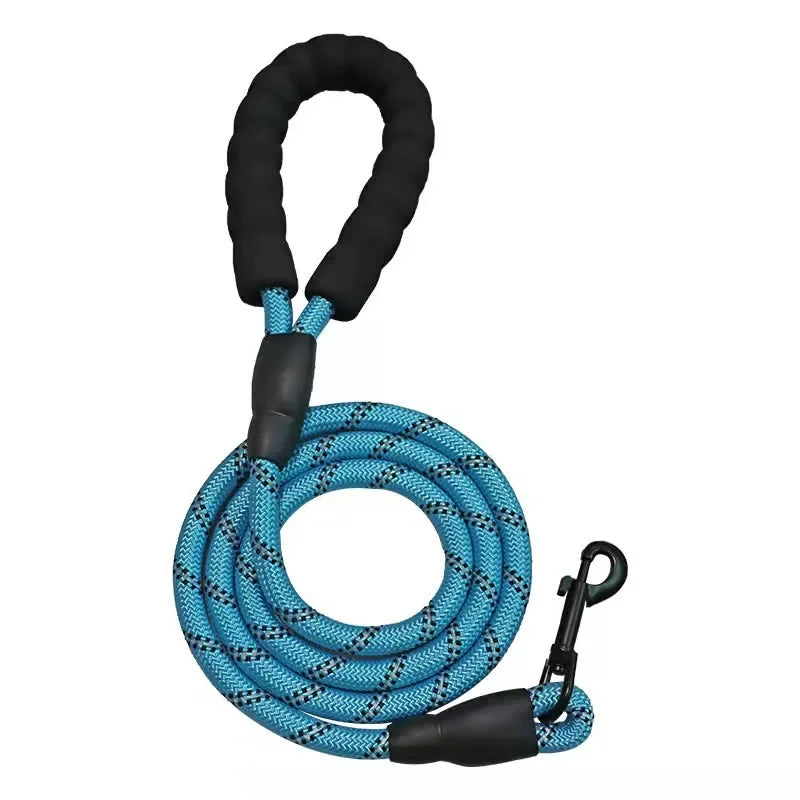 Leash