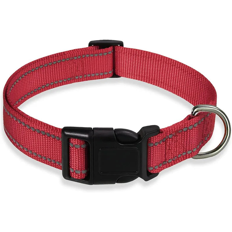 Dog Collar