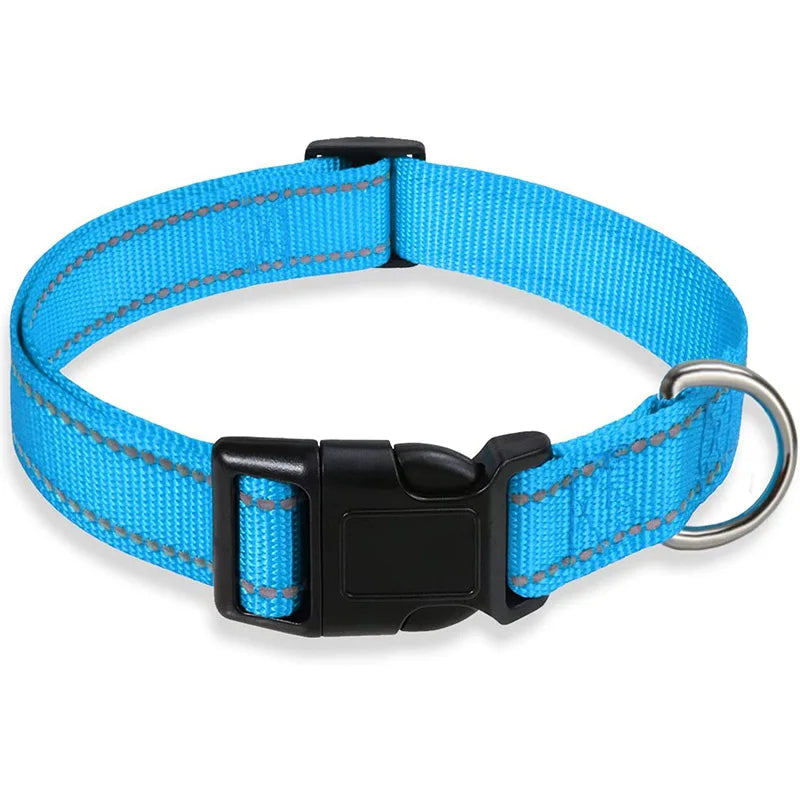 Dog Collar