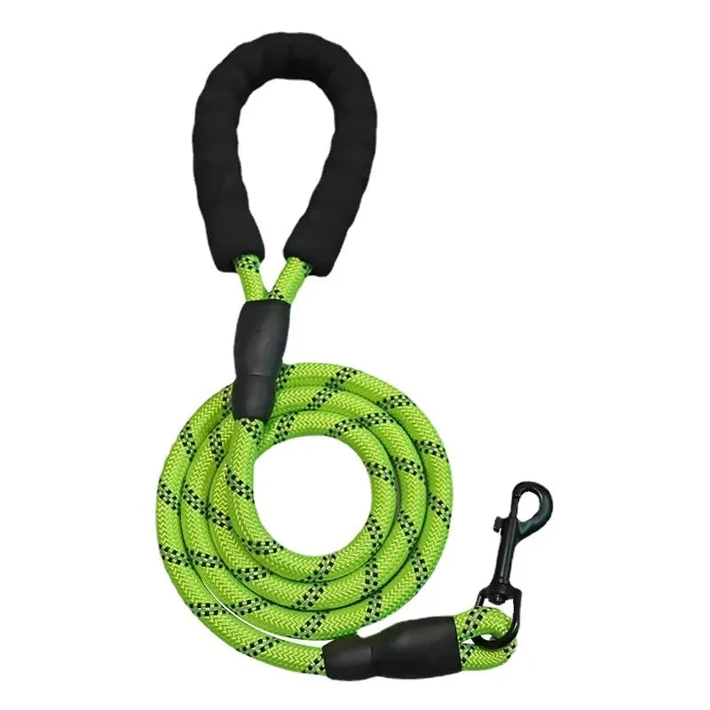 Leash