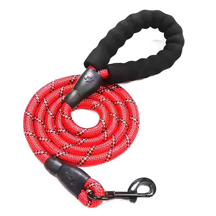 Leash