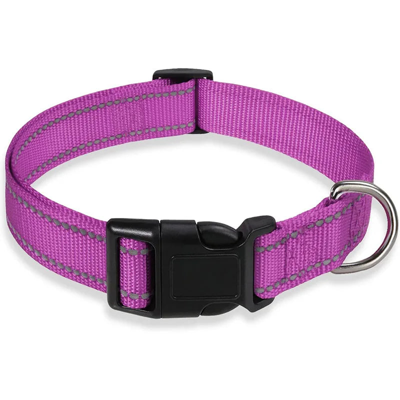 Dog Collar