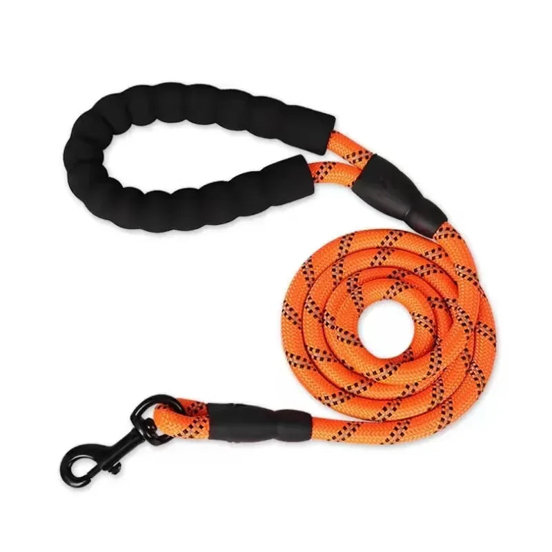 Leash