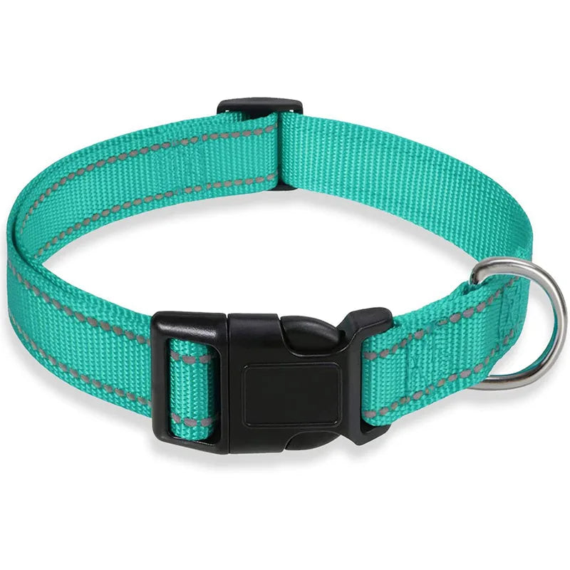 Dog Collar